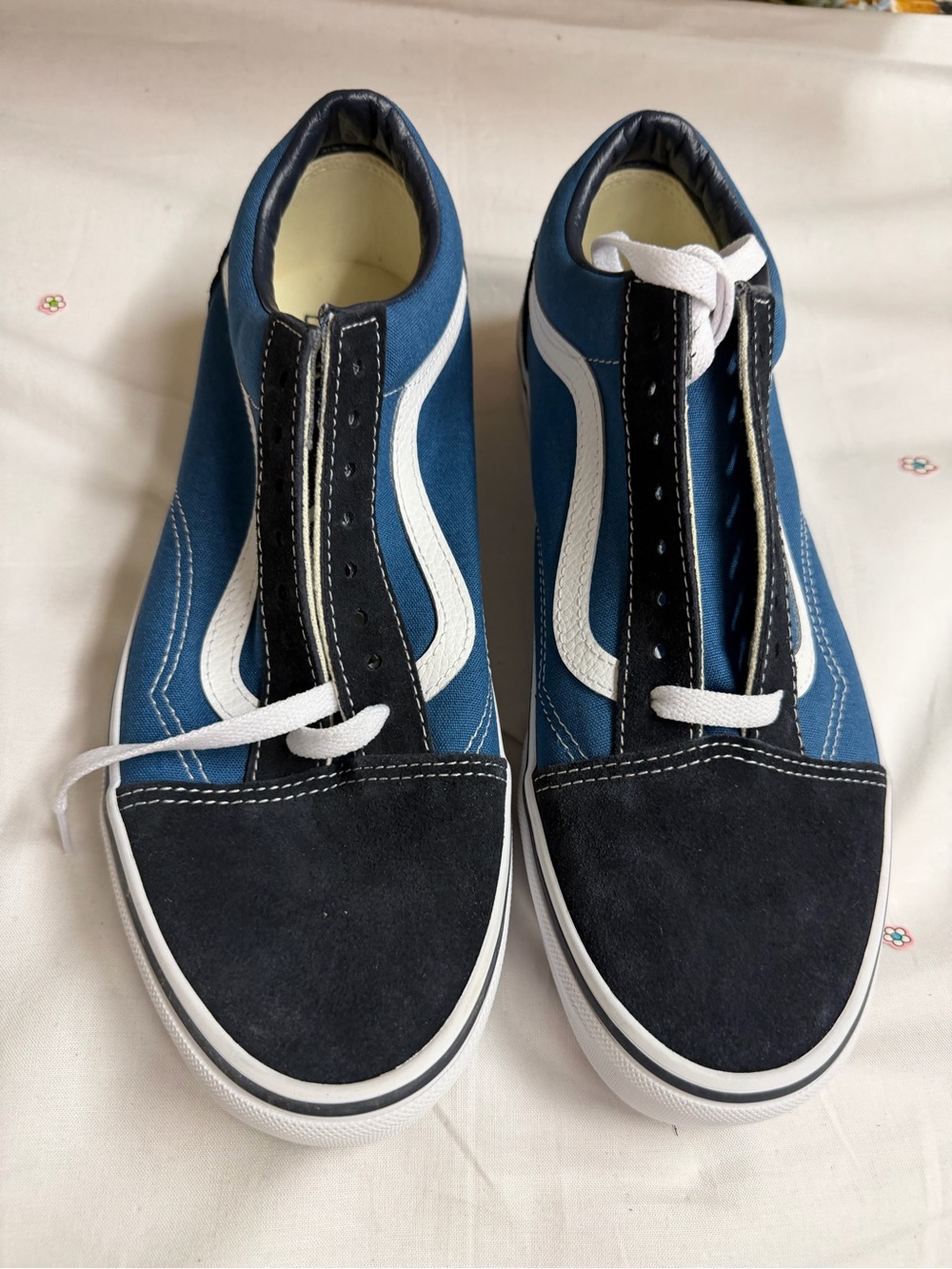 Classic Skate Sneakers in Blue and Black